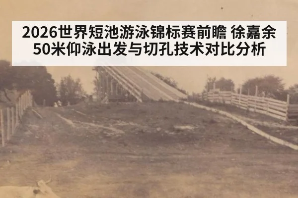 2026世界短池游泳锦标赛前瞻 徐嘉余50米仰泳出发与切孔技术对比分析